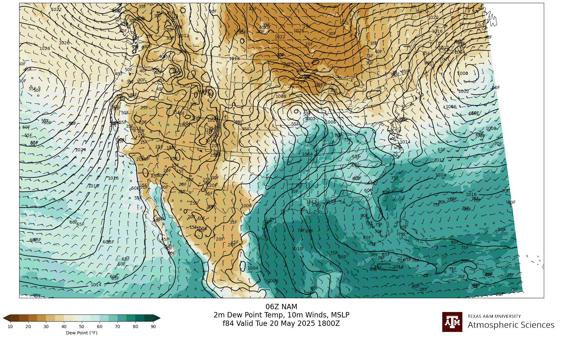 NAM 2m Dew Point, 10m winds, surface MSLP