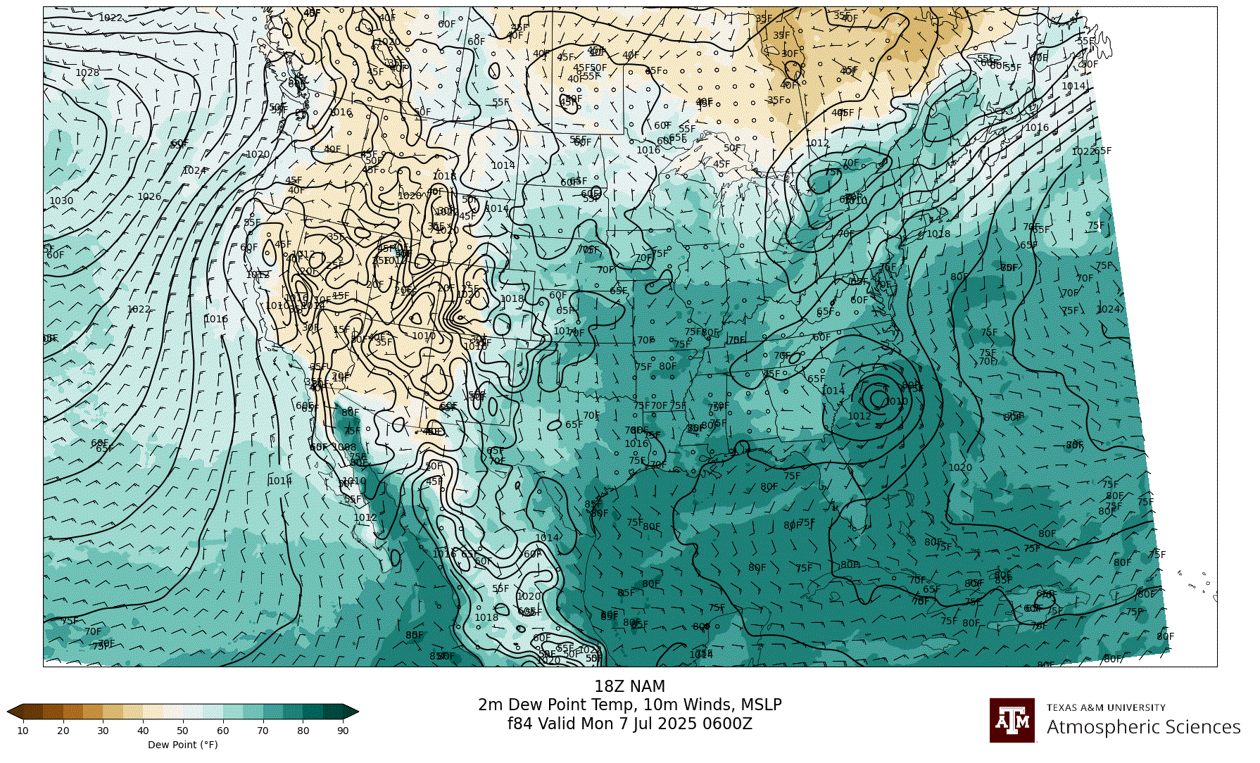 NAM 2m Dew Point, 10m winds, surface MSLP