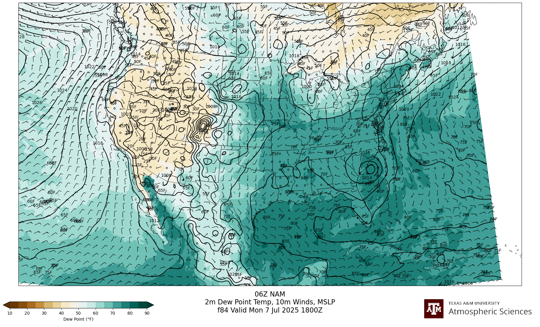 NAM 2m Dew Point, 10m winds, surface MSLP