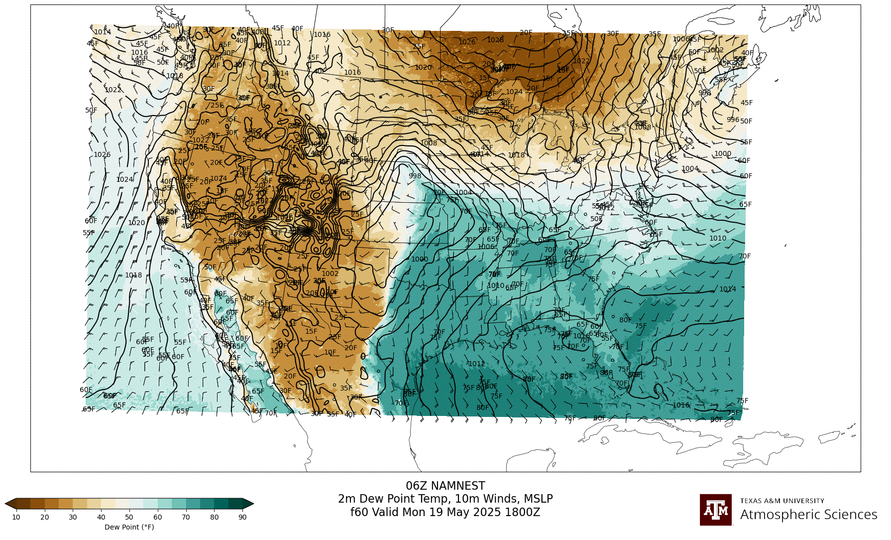 NAM NEST 2m Dew Point, 10m winds, surface MSLP