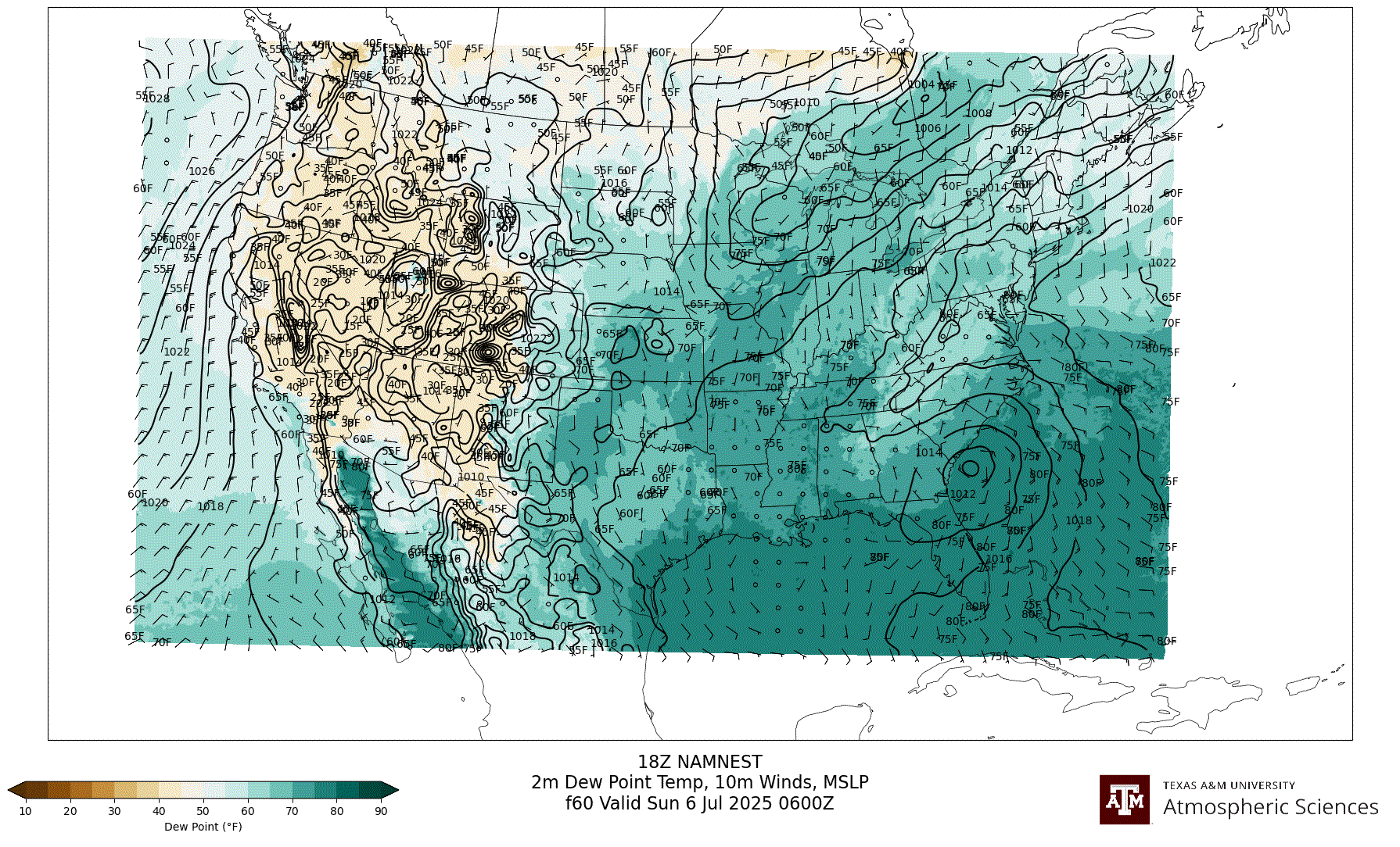 NAM NEST 2m Dew Point, 10m winds, surface MSLP