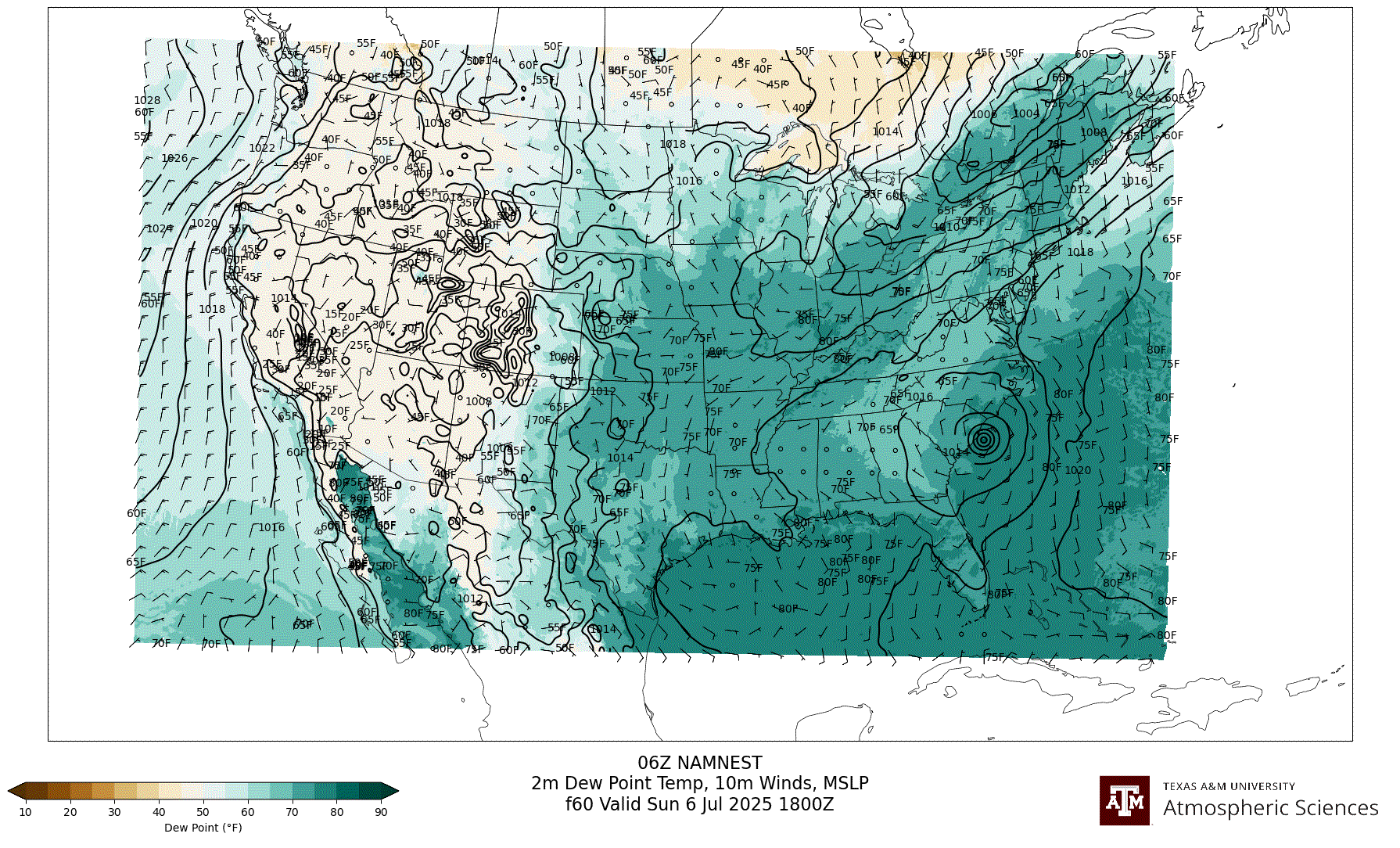 NAM NEST 2m Dew Point, 10m winds, surface MSLP